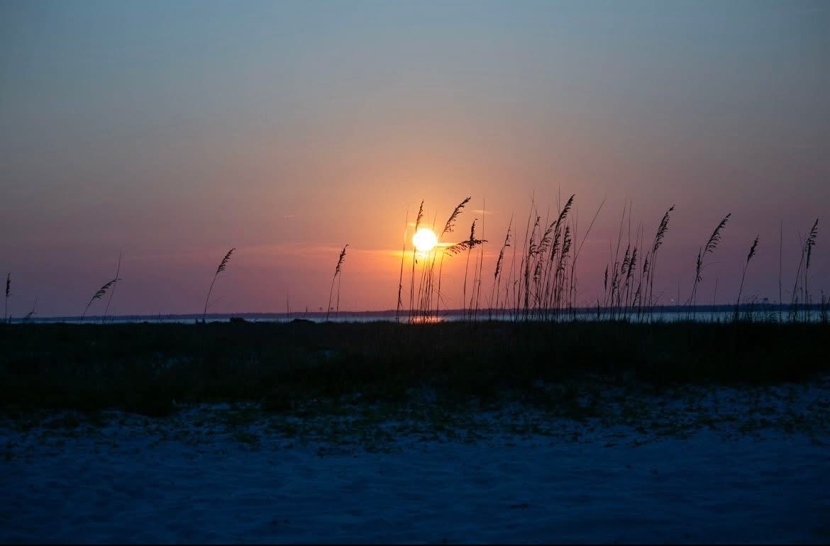 Beach sunset through sea oats