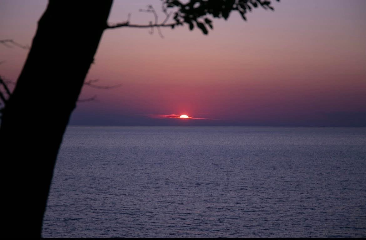 Sunset over the ocean with tree silhouette